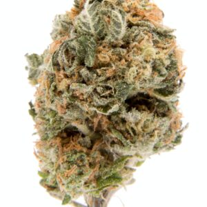 Blueberry
