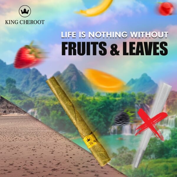 Mango Flavor Blunt Wrap - Terpene Infused - Image 2