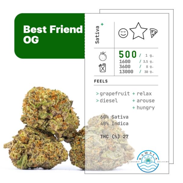 Best Friend OG - Image 2