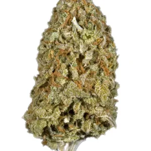 Candy Cane