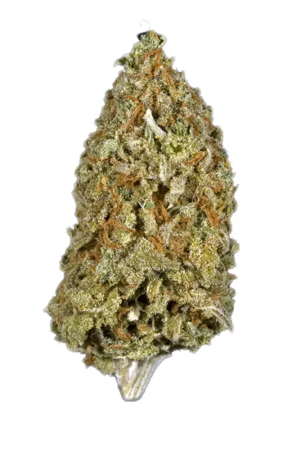 Candy Cane