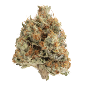 Chrome Diesel