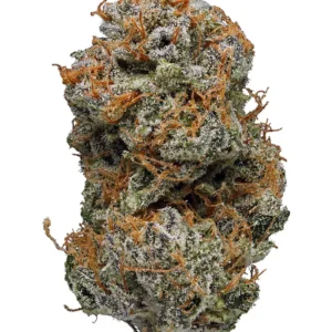 Jesus OG
