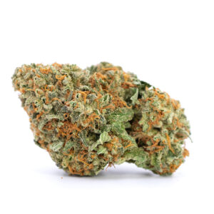 Orange Sherbet