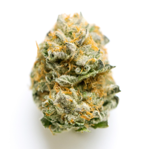 Rainbow Sherbert #11