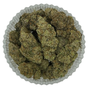 Tropicana Poison