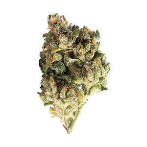 Acapulco Gold