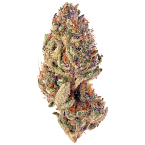 Slurricane