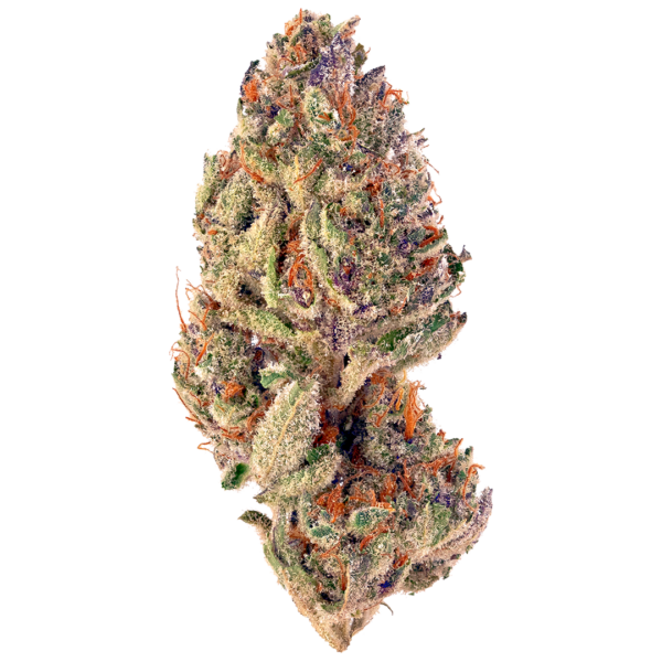 Slurricane