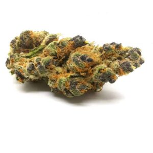 Tangerine Dream